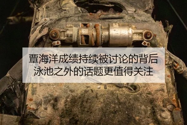 tan-hai-yang-cheng-ji-chi-xu-bei-tao-lun-de-bei-hou-yong-chi-zhi-wai-de-hua-ti-geng-zhi-de-guan-zhu-2-390.jpg
